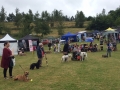 Nutfield British Legion Summer Fete at Priory Farm Picture shows: Dog show