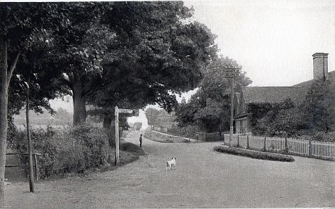 Village Street with Dean's Store looking south