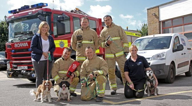 West Sussex Fire Engines To Carry Animal Oxygen Masks