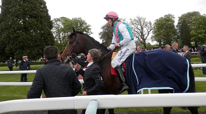 Equine flu crisis strikes at British horse racing