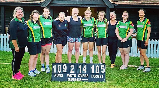 Cricket: More success in the Surrey Slam for Newdigate Ninjas